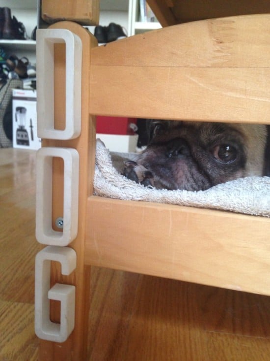 duktig pet bed3