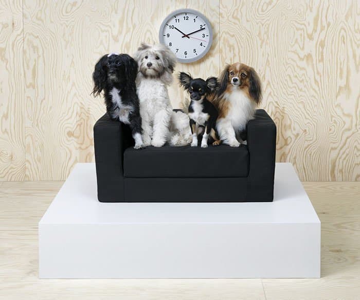 IKEA LURVIG pet furniture for dogs and cats