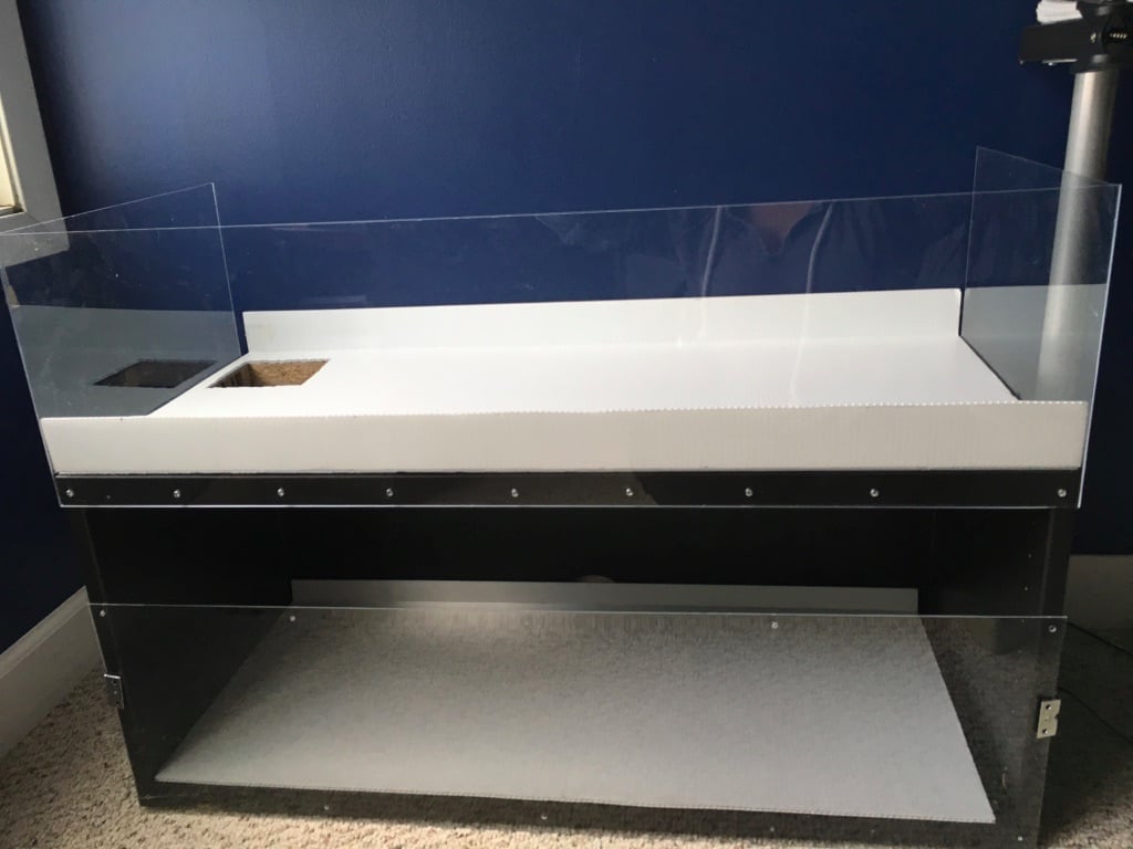 standing guinea pig cage